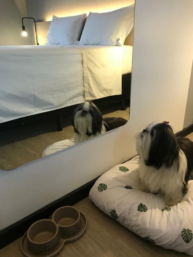 Naalt Hotel Joinville Zewnętrze zdjęcie